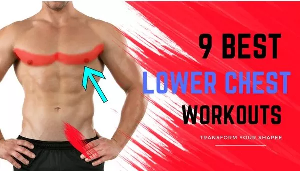 Lower Chest Workouts