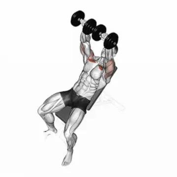 Incline dumbbell chest press exercise with dumbbells