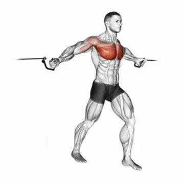 9 Best Lower Chest Workouts: Transform Your Physique