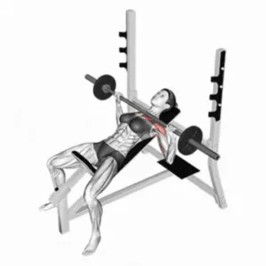 Person performing an incline barbell bench press at the gym