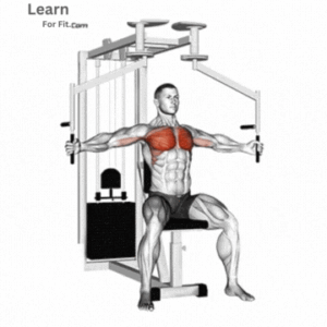 pec deck Fly machine for a chest workout