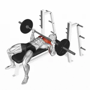 Barbell Flat Bench Press for Chest