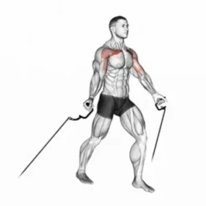 Image of a person performing low cable crossover exercise for chest