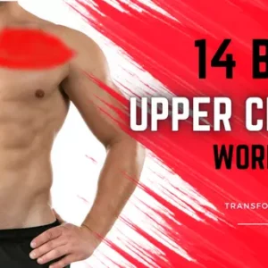 upper chest workout